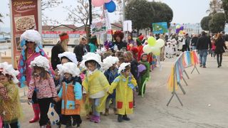 Virski Karnevalić 2017.