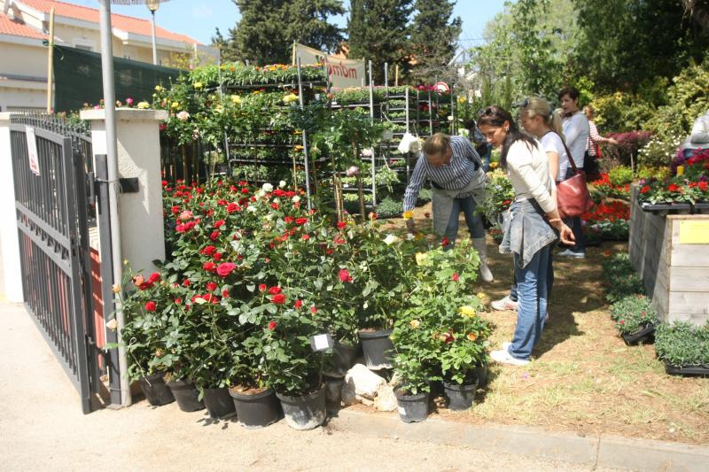 U Sv. Filip i Jakovu danas je otvoren 14. Festival cvijeća Zadarske županije, Foto: Dino Stanin/PIXSELL