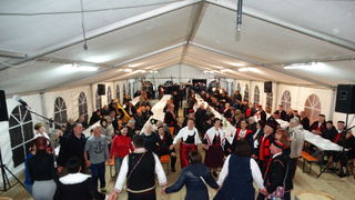 14. Cvitarijada u Nadinu