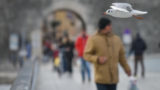 Olujno jugo u Zadru, 5. prosinca 2020.