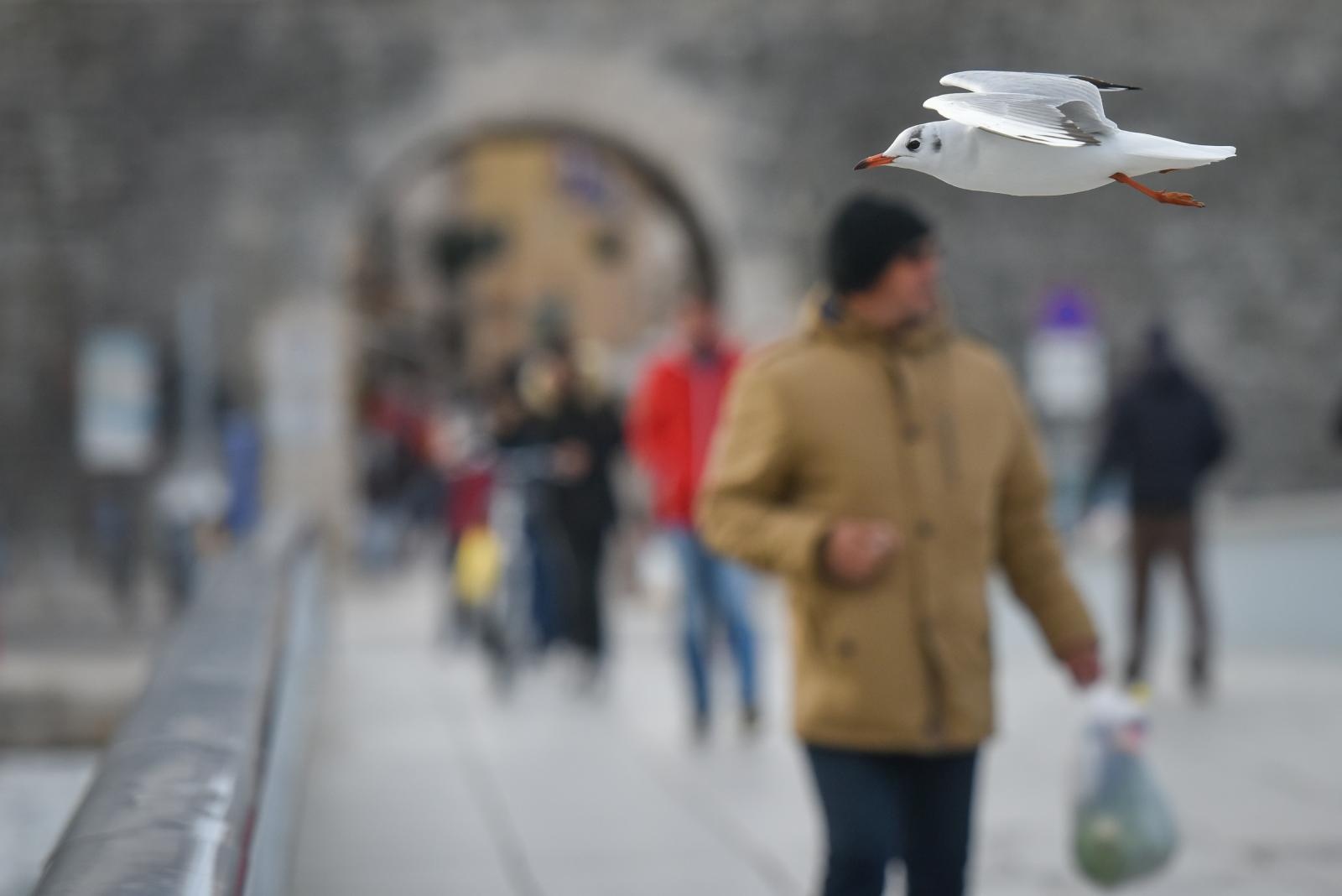 Olujno jugo u Zadru, 5. prosinca 2020.