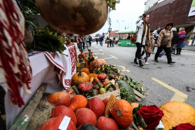 12. Bučijada u Ivanić-Gradu. Photo: Igor Soban/PIXSELL 12. Bučijada u Ivanić-Gradu. Photo: Igor Soban/PIXSELL