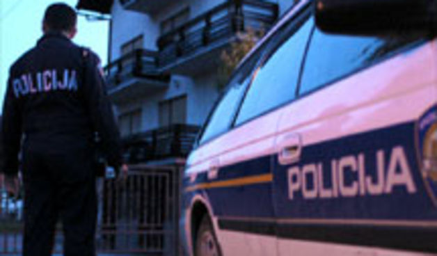 Image 1173569 (auto)