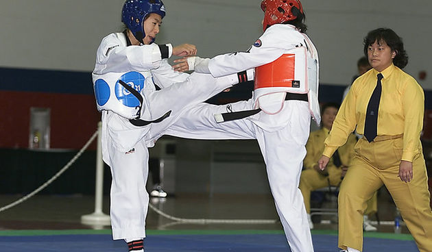 Ana Zaninović, Foto: wikipedia