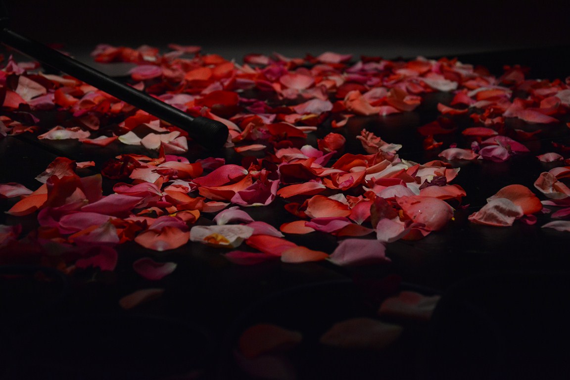 “Baletna raspodija” u HNK Zadar, udruga Pirueta