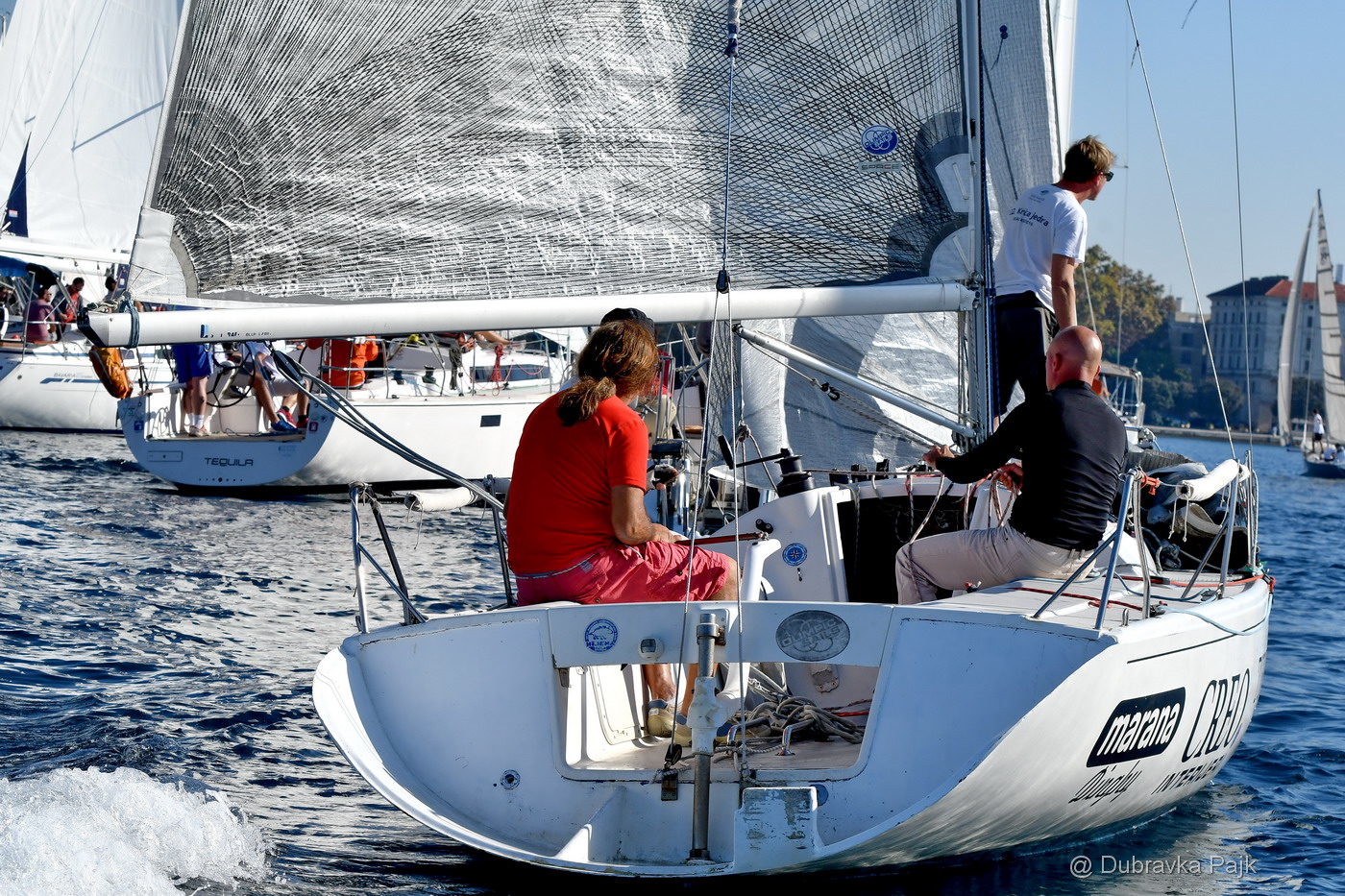 Sva lica “Zadarske koke” Sva lica “Zadarske koke”