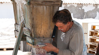 Solana Nin, berba soli, foto: Leo Banić