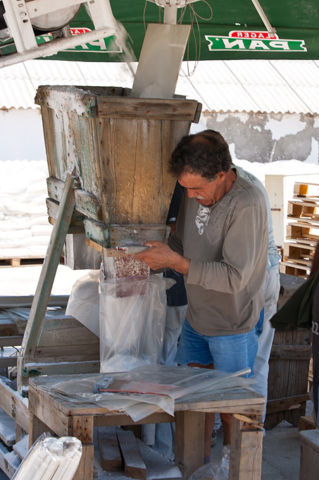 Solana Nin, berba soli, foto: Leo Banić