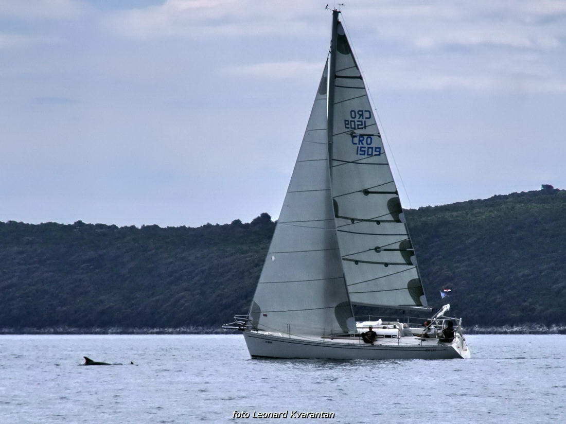 Zadarska regata 2013, Foto: Leonard Kvarantan