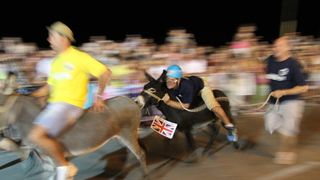 Tisno: 7. Međunarodna trka tovarov, Foto: Edin Kadić Tisno: 7. Međunarodna trka tovarov, Foto: Edin Kadić