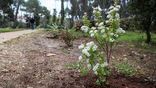 U Vruljici uređen Kišni vrt U Vruljici uređen Kišni vrt