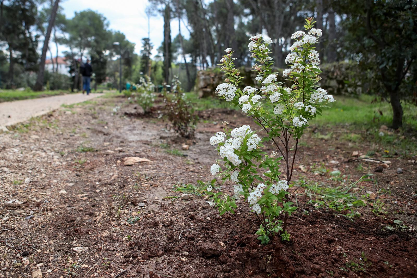 U Vruljici uređen Kišni vrt U Vruljici uređen Kišni vrt