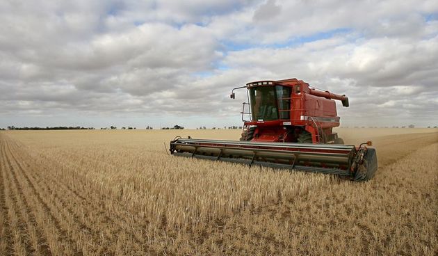 Farmer – kombajn (Foto: abc.net)
