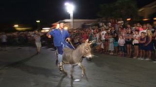 Trka Tovarov – 48. Memorijal Kenje Vijole Sukošan  Photo: Leo Banić