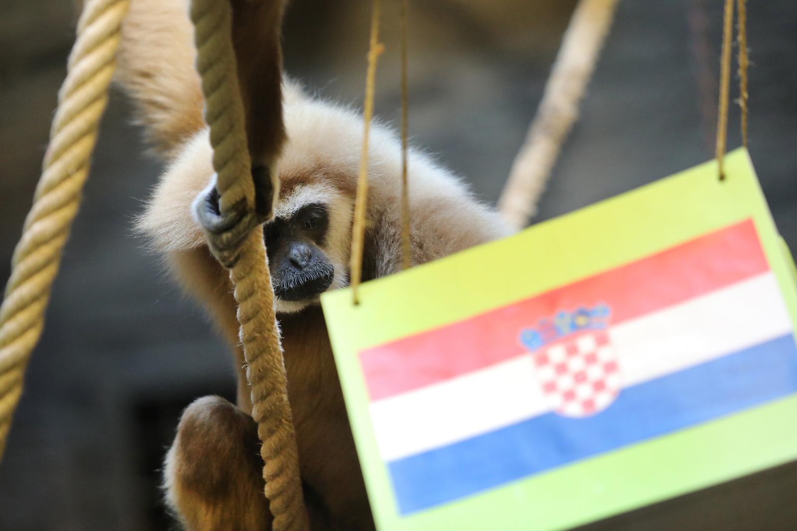 Gibon Kent odabrao pobjednika utakmice Hrvatska – Maroko