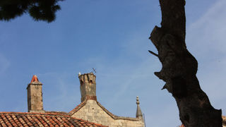 Image 1117667 (auto)