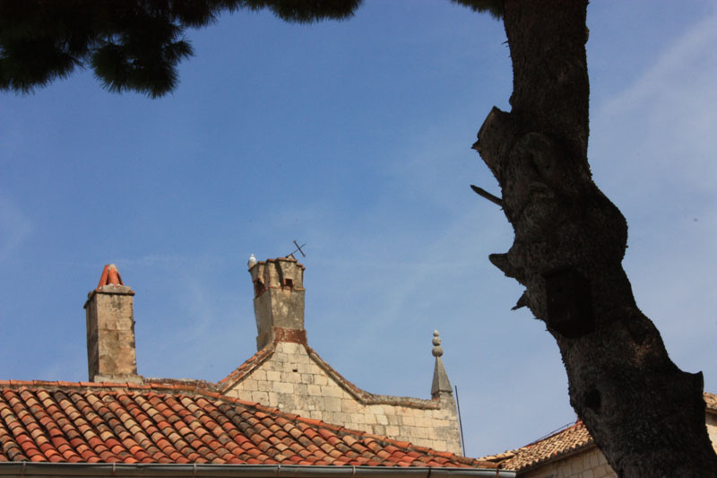 Image 1117667 (auto)