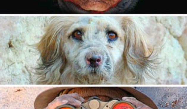 Završen “Kinookus”, nagrada publike filmu “Surire”