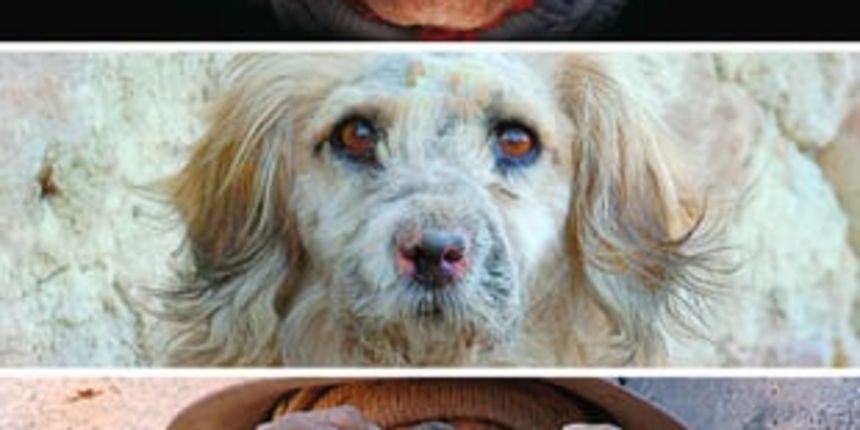 Završen “Kinookus”, nagrada publike filmu “Surire” Završen “Kinookus”, nagrada publike filmu “Surire”