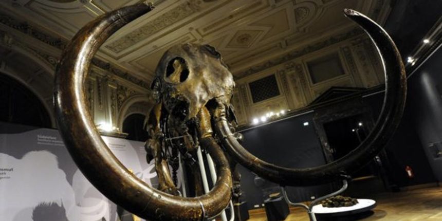 Mamut, muzej u Beču, prethistorija/foto-vienna.at Mamut, muzej u Beču, prethistorija/foto-vienna.at