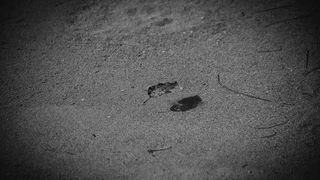 Crno bijela bajka na Kraljičinoj plaži, foto: Iva Perinčić