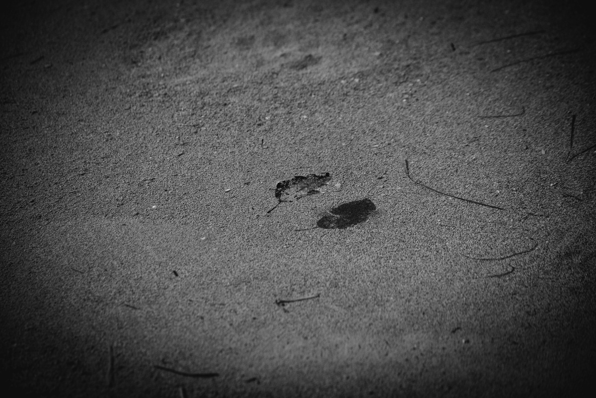 Crno bijela bajka na Kraljičinoj plaži, foto: Iva Perinčić