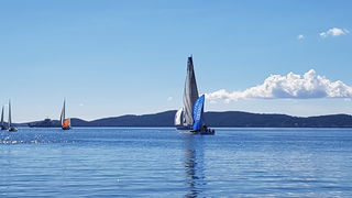 Zadarska Koka 2016. 22. listopada 2016. Foto: Mladen Malik Zadarska Koka 2016. 22. listopada 2016. Foto: Mladen Malik