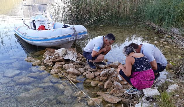 Vidra siguran i stalan dom pronašla u NP Krka