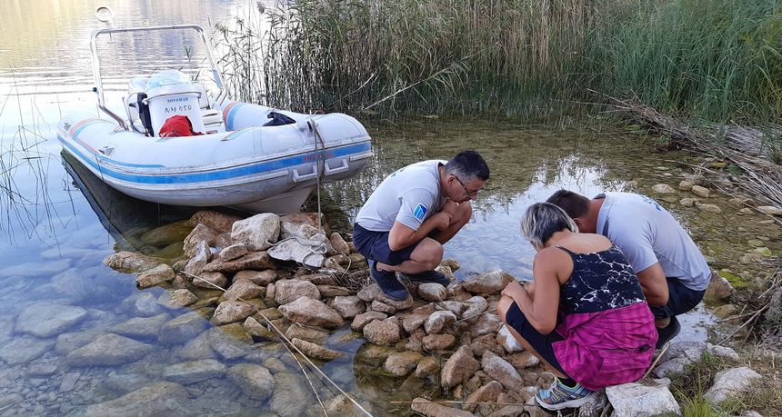 Vidra siguran i stalan dom pronašla u NP Krka