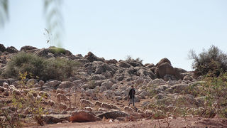 Skitnja Casablancom, foto: Pero Šindija