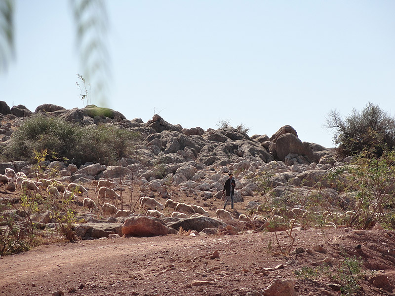 Skitnja Casablancom, foto: Pero Šindija
