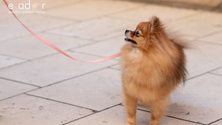 Đir po gradu, subotnja špica 9. veljače 2019. Đir po gradu, subotnja špica 9. veljače 2019.