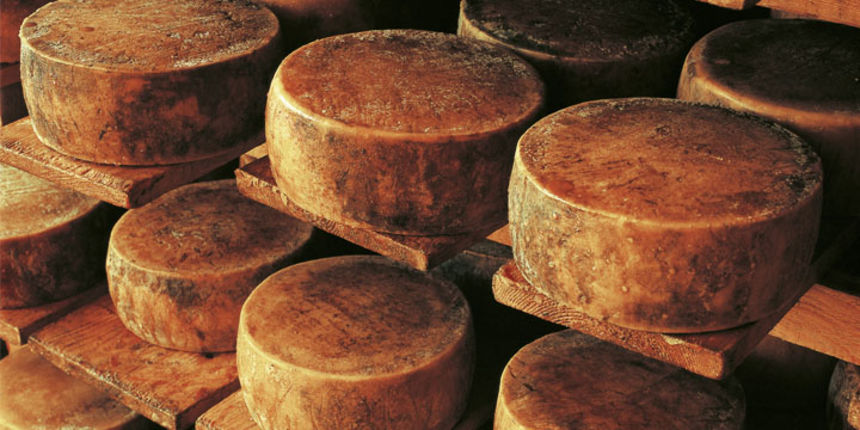 Paška sirana, paški sir