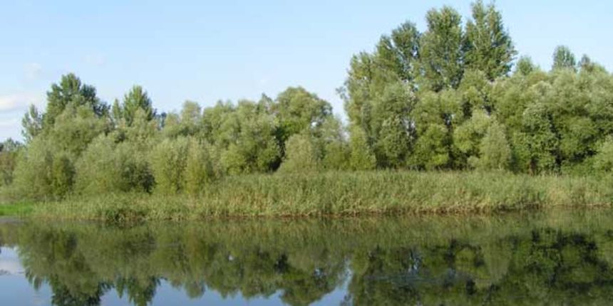 rijeka Drava (foto: www.radius-info.com) rijeka Drava (foto: www.radius-info.com)