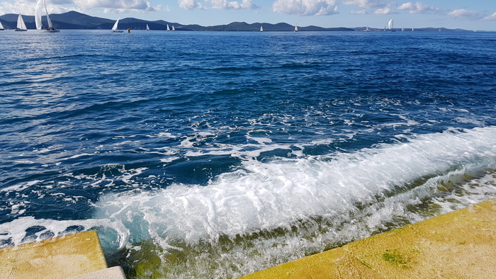 Zadarska Koka 2016. 22. listopada 2016. Foto: Mladen Malik Zadarska Koka 2016. 22. listopada 2016. Foto: Mladen Malik