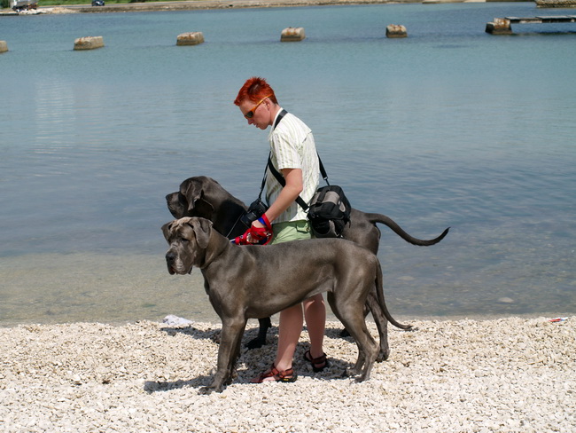 Zadar: Medjunarodna izlozba pasa CACIB 1. svibnja 2010.