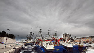 Ribarice u zadarskoj luci, Foto: Leo Banić