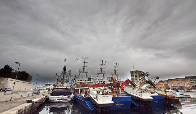 Ribarice u zadarskoj luci, Foto: Leo Banić