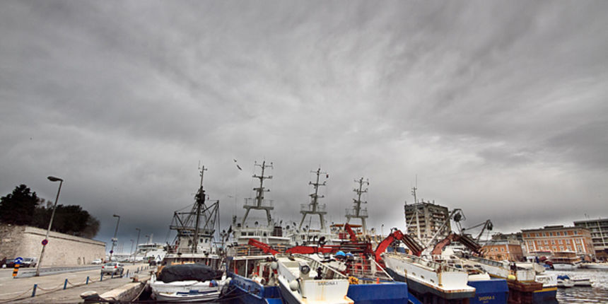 Ribarice u zadarskoj luci, Foto: Leo Banić