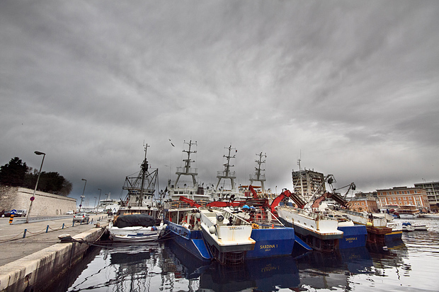 Ribarice u zadarskoj luci, Foto: Leo Banić