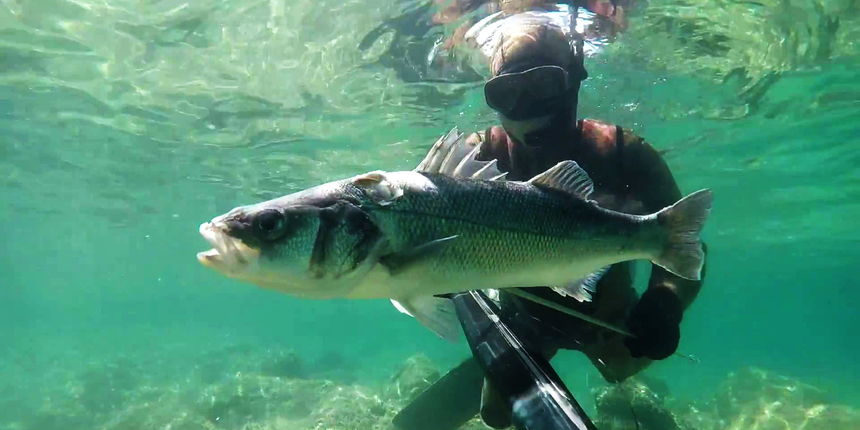 Podvodni ribolovac Podvodni ribolovac