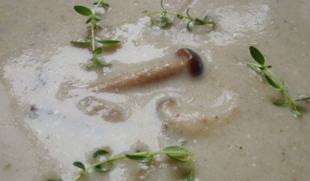 Juha od gljiva, foto: www.coolinarika.com