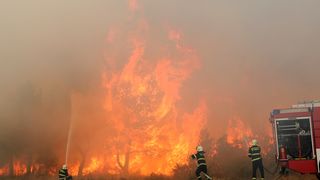 Lozovac: veliki požar zaprijetio kućama, kopnenim snagama pridružila se četiri kanadera Lozovac: veliki požar zaprijetio kućama, kopnenim snagama pridružila se četiri kanadera