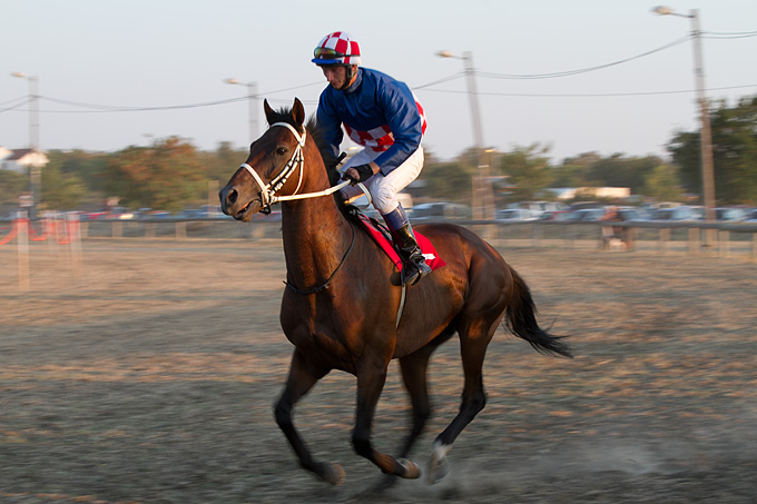 Polača: 14. Međunarodne konjičke utrke “Oluja 95”, Foto: Leo Banić Polača: 14. Međunarodne konjičke utrke “Oluja 95”, Foto: Leo Banić