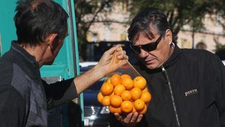 Mandarine na šibesnkoj