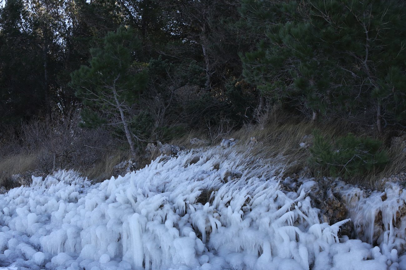 Šetnja po zaleđenom i bajkovitim Vranskim jezerom Šetnja po zaleđenom i bajkovitim Vranskim jezerom