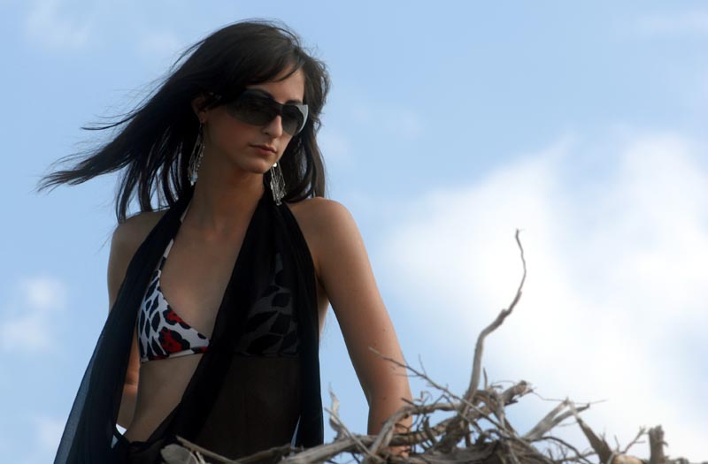 Image 1181255 (auto) Image 1181255 (auto)