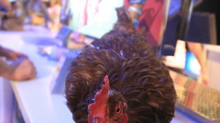 Dali bar: Party u povodu predpremijere filma Bruno