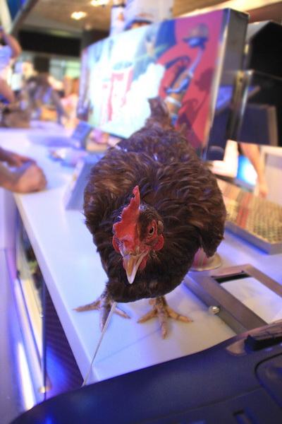 Dali bar: Party u povodu predpremijere filma Bruno