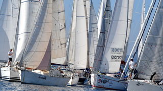 Sva lica “Zadarske koke” Sva lica “Zadarske koke”